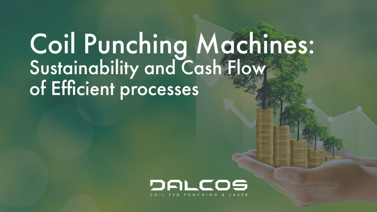 Sustainability and Cash Flow of Efficient processes - Dalcos